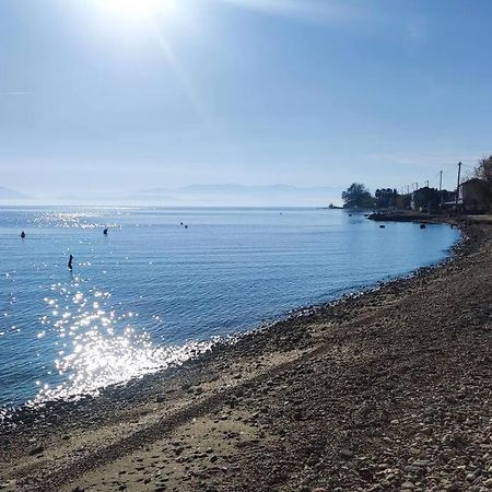 Malakion Rustic Studio Seaside View Екстериор снимка